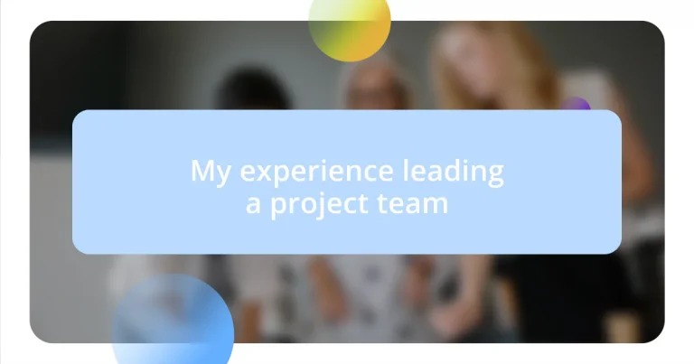 My experience leading a project team