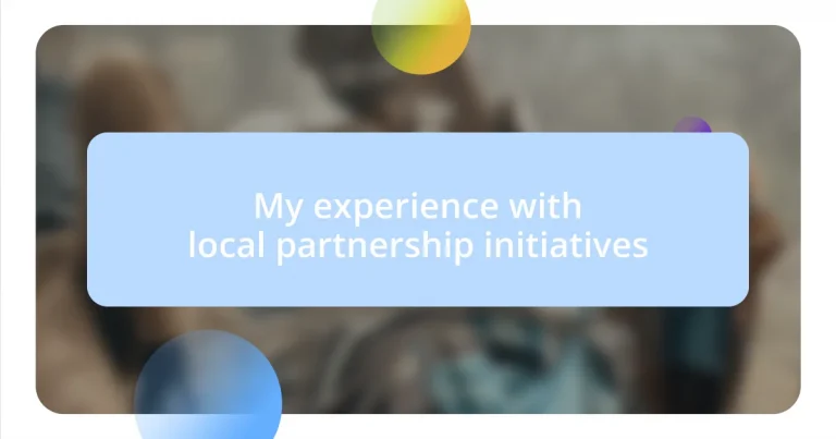 My experience with local partnership initiatives