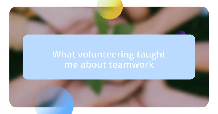 What volunteering taught me about teamwork